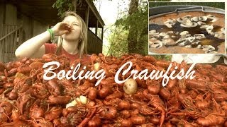 How to Boil and Eat Louisiana Crawfish [upl. by Eitsrik318]