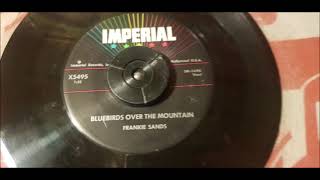 Frankie Sands  Bluebirds Over The Mountain  1958 Rockabilly  Imperial 5495 [upl. by Diraj]