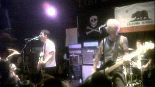 Green Day at Tiki Bar  Stray Heart  NEW SONG 2011 [upl. by Eloise]