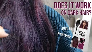 Loreal Colorista Paint Violet on Dark Hair  1 Week Update  TRY OR FRY [upl. by Annovoj]