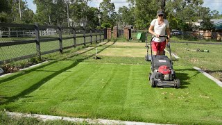 Renovating Zoysia  What You Need to Know [upl. by Elana]