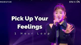 1 Hour Loop BABYMONSTER  HARAM Pick Up Your Feelings [upl. by Onairam]