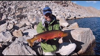 Fly fishing for golden trout in Wyoming [upl. by Sicnarf]