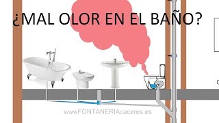 Mal olor en el baño  De donde viene y como evitar el mal olor en casa [upl. by Htennaj309]