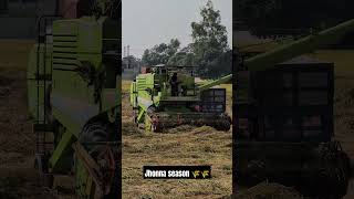 Jatt di combine chldi 🌾🤣 combine season harvest farming kisan music farmer viralvideo views [upl. by Calypso]