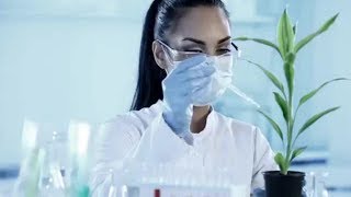 Biochemists and Biophysicists Career Video [upl. by Nesto858]