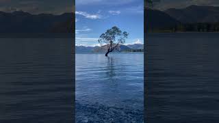 Lake Wanaka newzealandtravel [upl. by Dianna]