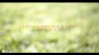 test video  Leica SummicronR 50mm F2 [upl. by Marney]