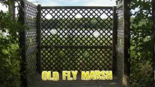 Old Fly Marsh [upl. by Mcmahon]