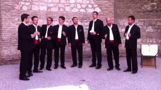 Croatian Klapa Performance [upl. by Janey]