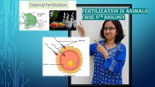 FertilizationInternalexternalInVitroViviparousoviparousDevelopmentofEmbryoCBSE8thScience [upl. by Eelitan]