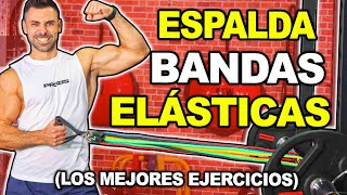 🔴 Los MEJORES Ejercicios BANDAS ELASTICAS  Fortalecer ESPALDA [upl. by Carter]