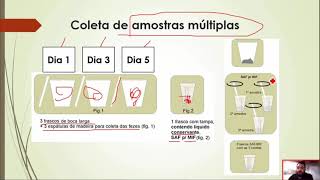 Exame Parasitológico de Fezes EPF comparação dos métodos e técnicas Curso de Parasitologia [upl. by Donaldson]