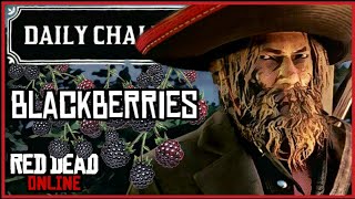 Daily Challenges  55 Blackberries picked I RDR2 Online 5 Blackberries Location [upl. by Lissie935]