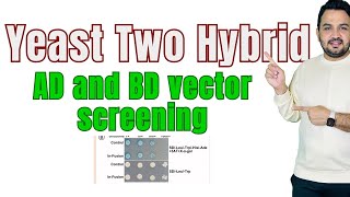 Yeast two Hybrid Y2H AD and BD vector screening [upl. by Eirrahs]