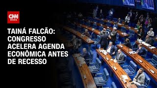 Tainá Falcão Congresso acelera agenda econômica antes de recesso  BASTIDORES CNN [upl. by Augustin]