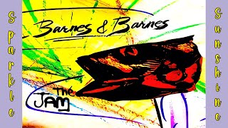 The Fish Heads Jam Barnes amp Barnes Vs The Jam Mashup [upl. by Garcon]