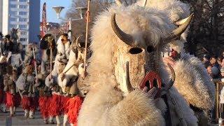 Kukeri festival Surva 2019 in Pernik [upl. by Coltson201]