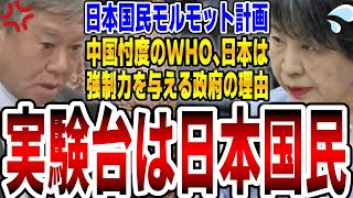 【国民を金に換える】原口一博が「日本国民というワクチン実験台」を今すぐ止めろと訴える！国会の承認なしにWHOに強制力を与える政府の理由【国会中継 】【原口議員vs上川外務大臣】レプリコンワクチン [upl. by Ennovaj]