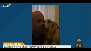 Cachorra Pandora é encontrada em aeroporto após 45 dias [upl. by Thetisa]