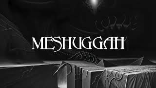 MESHUGGAH  They Move Below Official Visualizer [upl. by Ettennahs852]