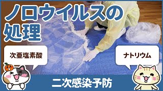 嘔吐物処理の正しい方法を学んで感染症対策をしよう｜みんなの介護求人 [upl. by Calesta]