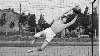 Gyula Grosics ● Best Saves [upl. by Mendelsohn]