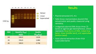 Plasmids Extrachromosomal Circular DNA used in Cloning [upl. by Jemmie]