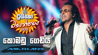 Komadu Gediya  කොමඩු ගෙඩිය   Trico වසන්තය with MARIANS [upl. by Assyral]