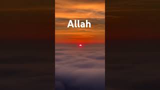 Islamic Channel  Islamic Video  Tilawat Quran  Bayan  Naat  Islamic studiesSonicislamic [upl. by Aisek]