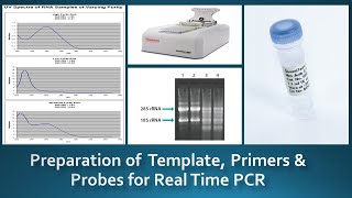 Guidelines for preparation amp Handling of Template Primers amp Probes for real time PCR [upl. by Rubbico]