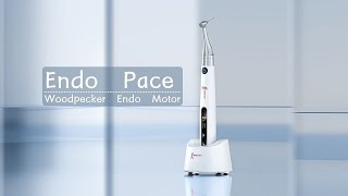 Woodpecker Brushless Endo Motor  Endo Pace  VSDent [upl. by Staffan]