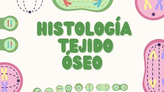 Histología del Tejido Óseo Estructura y Función PARTE 1 [upl. by Ecniv]