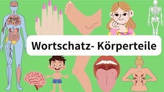 Deutsch lernen Die Körperteile wortschatz body parts A1 A2 [upl. by Notsag]