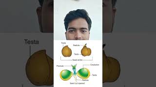 Fundamental defferens bw monocot Dicot seeds biology [upl. by Hanahs]