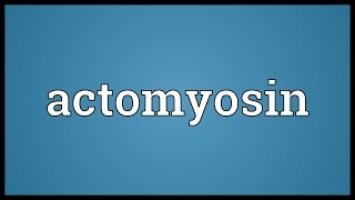 Actomyosin Meaning [upl. by Sibie]