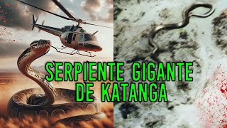 SERPIENTE GIGANTE DE KATANGA  Criptozoologia REEDITADO [upl. by Nnaael]