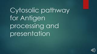 Cytosolic pathway of antigen processing and presentation All the steps with Questions and Answers [upl. by Toms243]