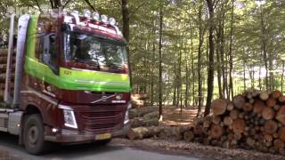 van der Wiel Timber Transport [upl. by Uttica]