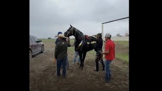 PISTA SILLER DEL HACENDADO TEMASCALCINGOEDO DE MÉXICO 🇲🇽‼️Aterrizando las PERRISIMAS TRASMISIONES 🤳🏻 [upl. by Ahseket]