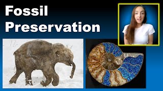 Fossil Preservation Modes and Major Invertebrate Groups  GEO GIRL [upl. by Templas556]