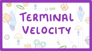 GCSE Physics  Terminal Velocity 55 [upl. by Nylirem]