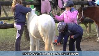 SPECIALE BIMBI A CAVALLO A GORIZIA [upl. by Rimola677]