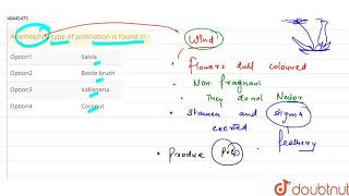 Anemophily type of pollination is found in [upl. by Wilburn]