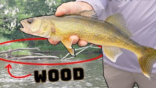 How to Catch Walleyes in Wood Wisconsin River [upl. by Auohc]