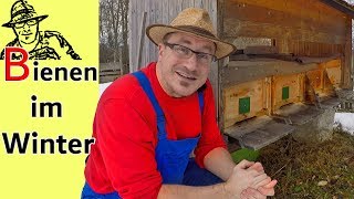 Der Imker bei den Bienen im Winter  das große Bienensterben oder alles OK [upl. by Anauqahs522]