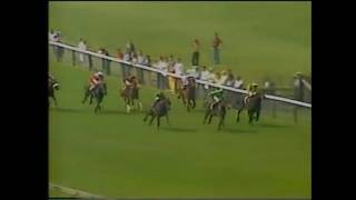 1982 July Stakes Newmarket [upl. by Budde244]