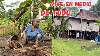 Viven en MEDIO DE LA SELVA en su casita de MADERA y son MUY FELICES 🛖🌳Josué y Elie [upl. by Buine]