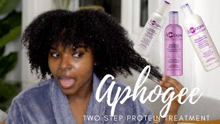 APHOGEE Two Step Protein Treatment Initial Review on Type 4 Natural Hair [upl. by Wren]