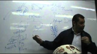 DrAhmed Abd ElRahman  GIT 2  Peptic Ulcer part 1 [upl. by Amliv]